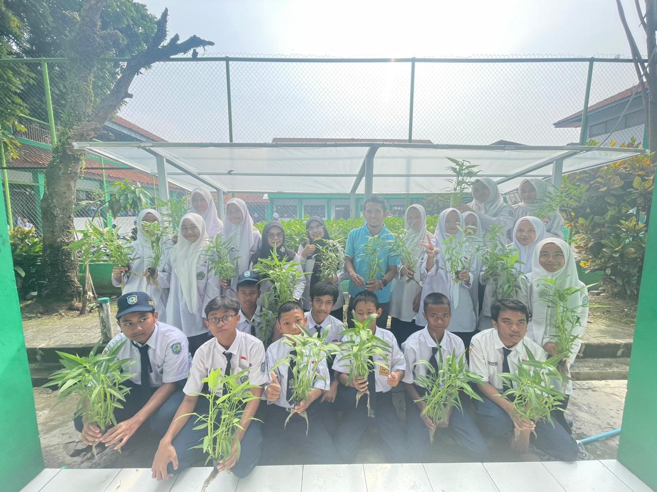 Panen Perdana Hidroponik, Wujud Nyata Madrasah Peduli Lingkungan Panen Perdana Hidroponik, Wujud Nyata Madrasah Peduli Lingkungan