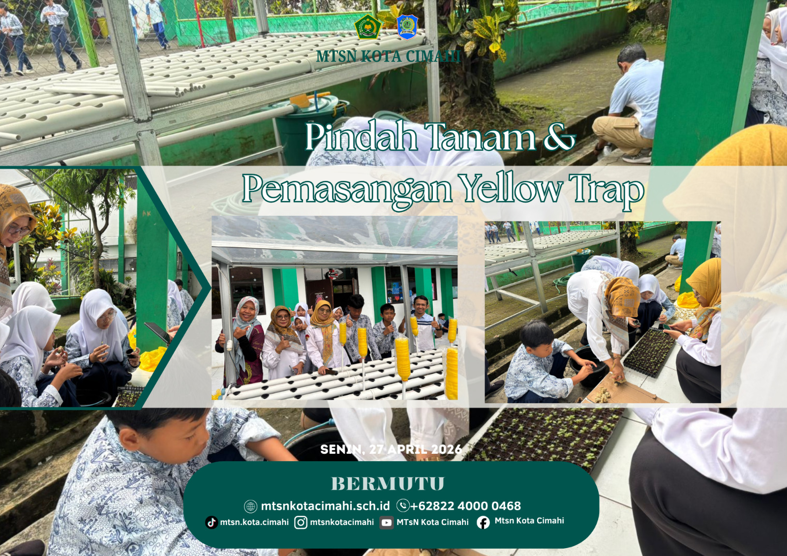 Duta PLH MTsN Kota Cimahi Laksanakan Pindah Tanam dan Pengendalian Hama Secara Ramah Lingkungan Duta PLH MTsN Kota Cimahi Laksanakan Pindah Tanam dan Pengendalian Hama Secara Ramah Lingkungan