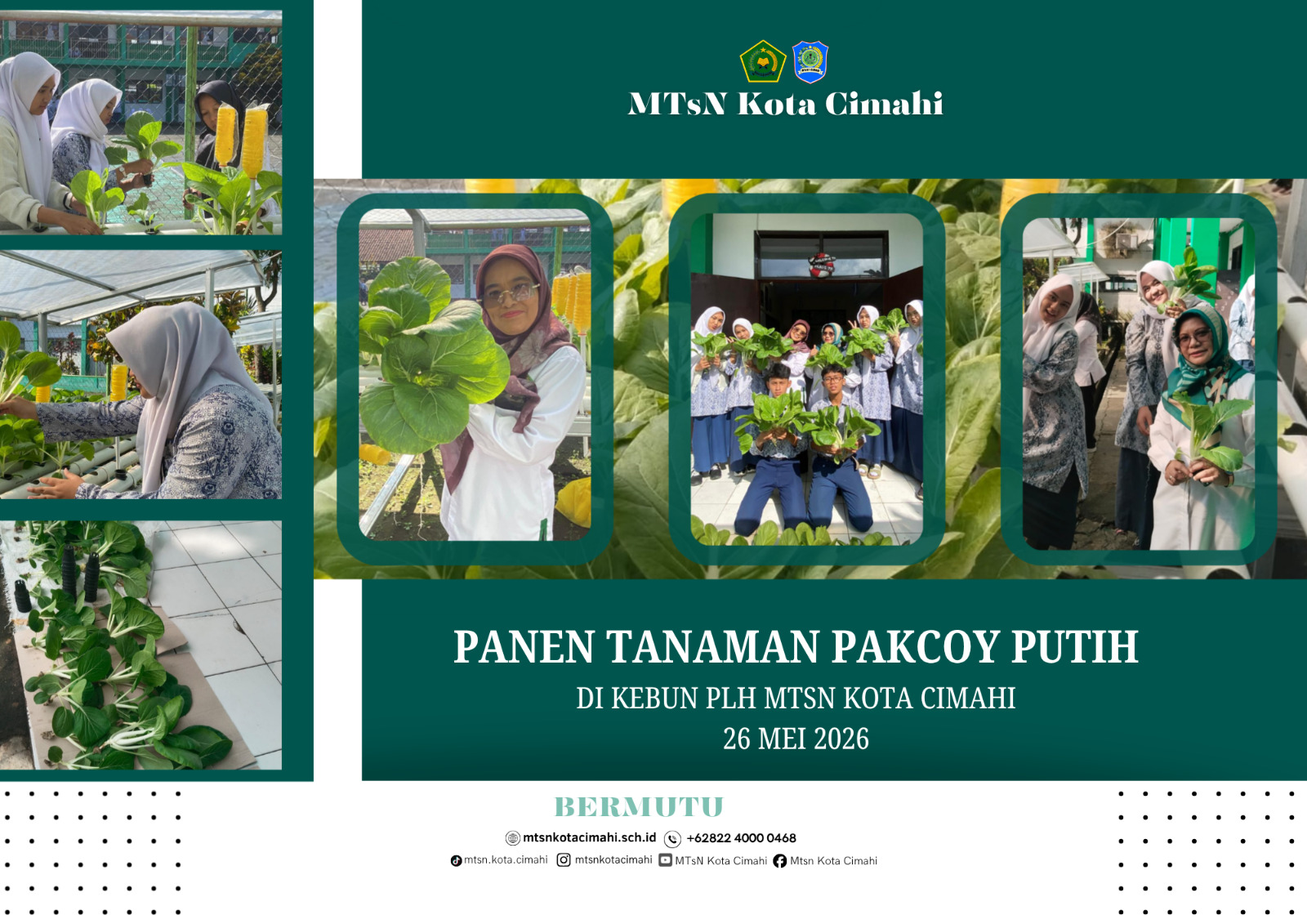 Panen Pakcoy Putih Warnai Kegiatan PLH MTsN Kota Cimahi di Tengah Pelaksanaan ASAT Panen Pakcoy Putih Warnai Kegiatan PLH MTsN Kota Cimahi di Tengah Pelaksanaan ASAT