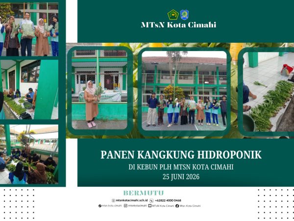 Panen Kangkung Hidroponik, Duta PLH MTsN Kota Cimahi Petik Hasil Kerja Sama dan Ketekunan