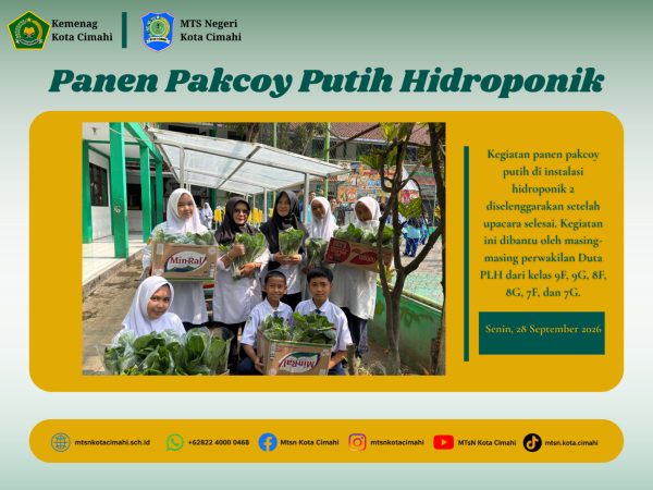 Panen Pakcoy Putih, Duta PLH MTsN Kota Cimahi Rasakan Hasil Perawatan Tanaman